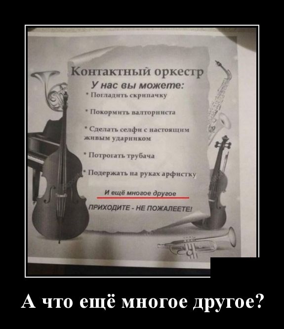 Свежие демотиваторы 19 сентября 2019 (30 картинок с надписями)