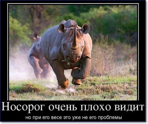 30 прикольных демотиваторов 2019 года, которые вы можете скачать 30 прикольных демотиваторов 2019 года, которые вы можете скачать