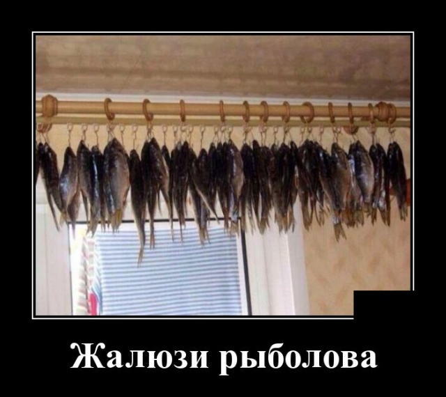 Новые демотиваторы про людей и животных