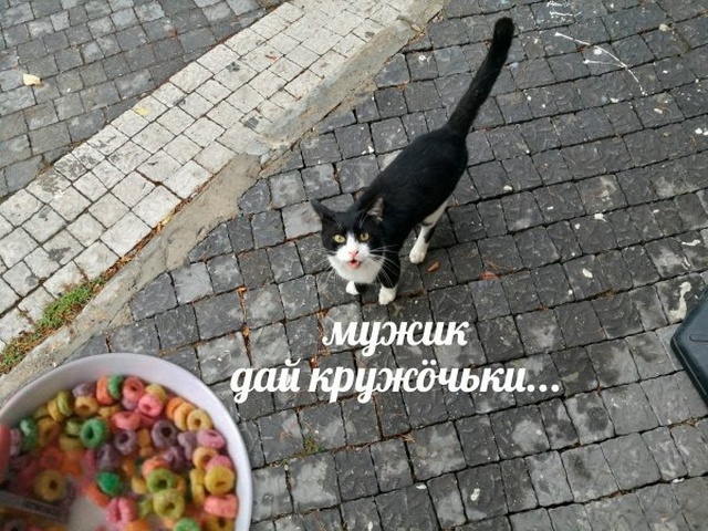 Хороший и нестандартный юмор из сети (27 фото)