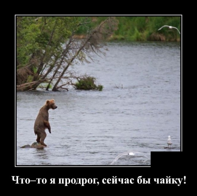 Смешные и свежие демотиваторы (30 демок)