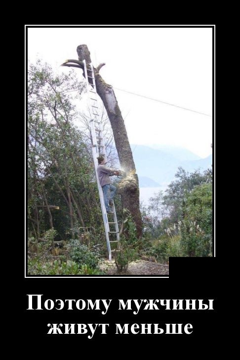 Смешные и свежие демотиваторы (30 демок)