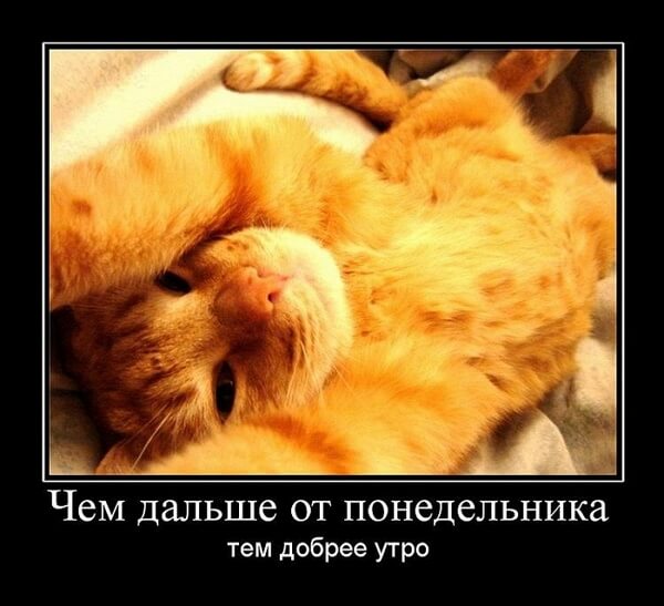 Демотиваторы доброе утро Демотиваторы доброе утро
