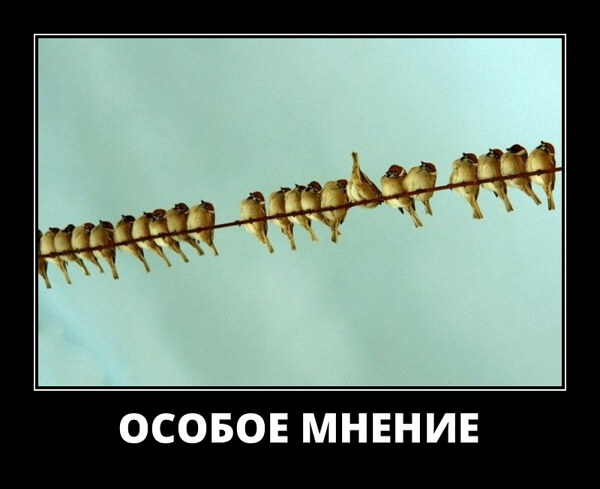 Свежие демотиваторы сентября 2019 года от PAGGY.RU