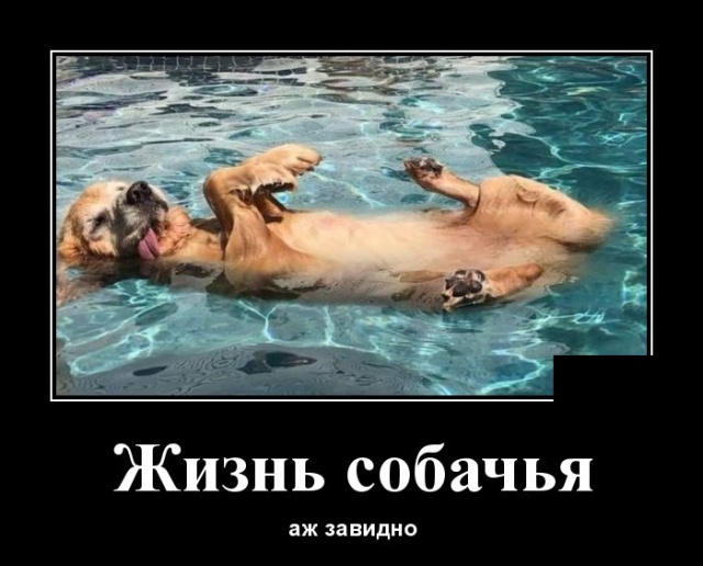 Смешные и свежие демотиваторы (30 демок)