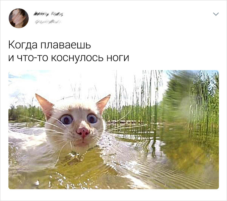 Люди, доказавшие существование "закона подлости" (14 фото) Люди, доказавшие существование "закона подлости" (14 фото)