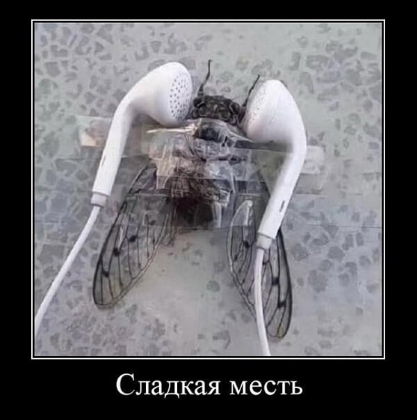 Свежие демотиваторы сентября 2019 года от PAGGY.RU