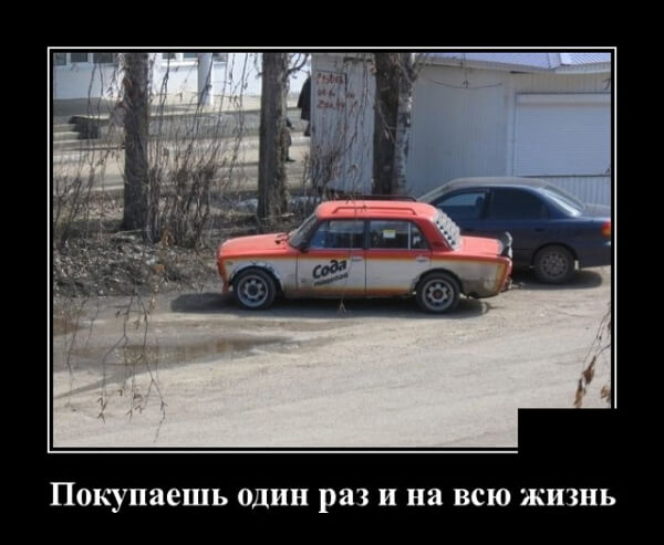 Свежие демотиваторы сентября 2019 года от PAGGY.RU