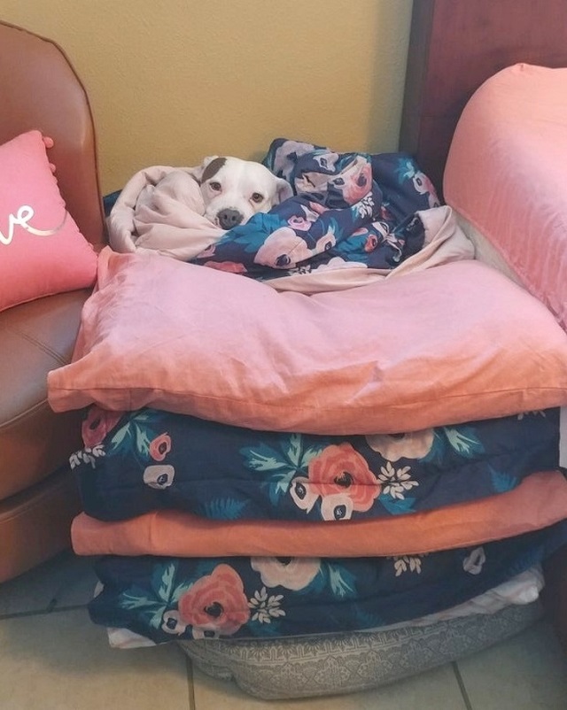 Логика мужчин и их искренняя непосредственность (15 фото)