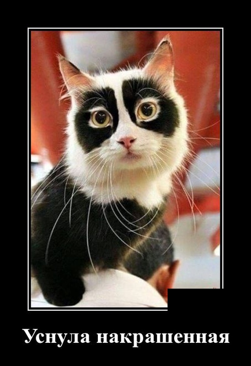 Смешные и очень свежие для 2019 года демотиваторы (30 демок)