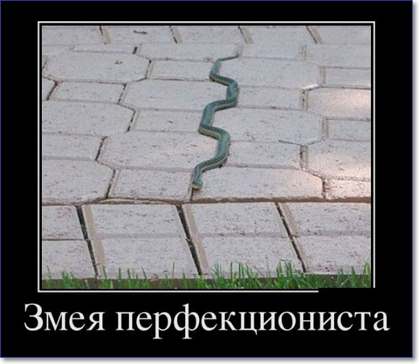 30 прикольных демотиваторов 2019 года, которые вы можете скачать 30 прикольных демотиваторов 2019 года, которые вы можете скачать