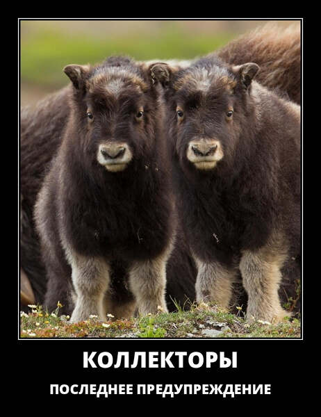 Свежие демотиваторы сентября 2019 года от PAGGY.RU