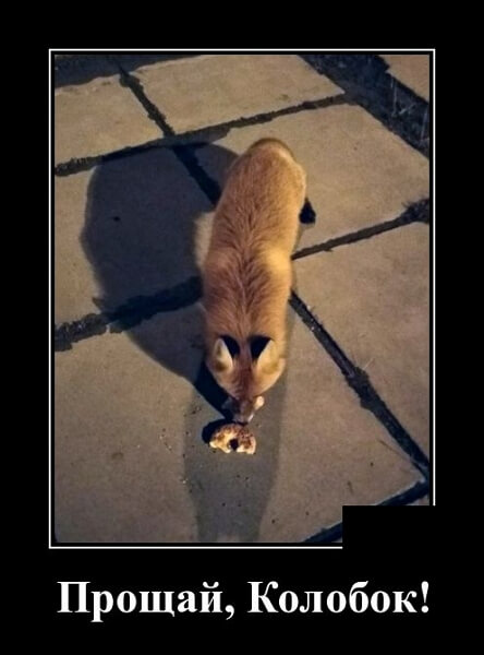 Новые демотиваторы сентября 2019