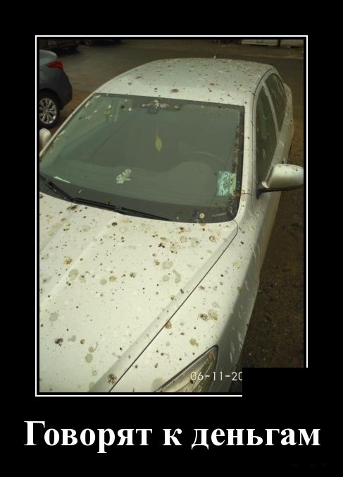 Смешные и очень свежие для 2019 года демотиваторы (30 демок)