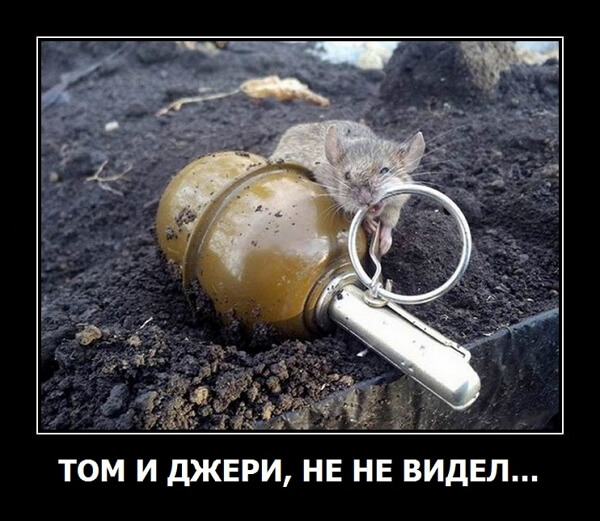 Демотиваторы 2019 года