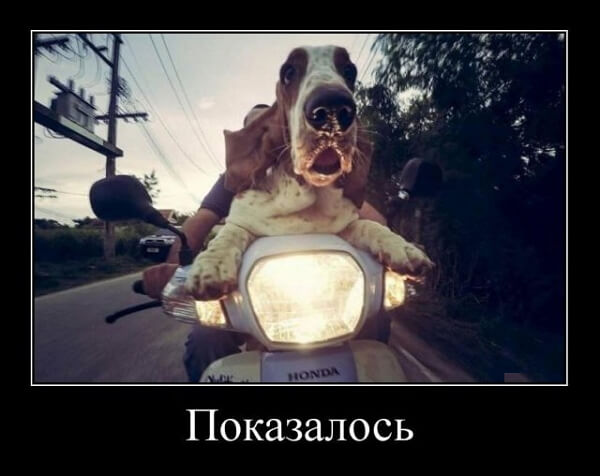 Демотиваторы 14.04.2019