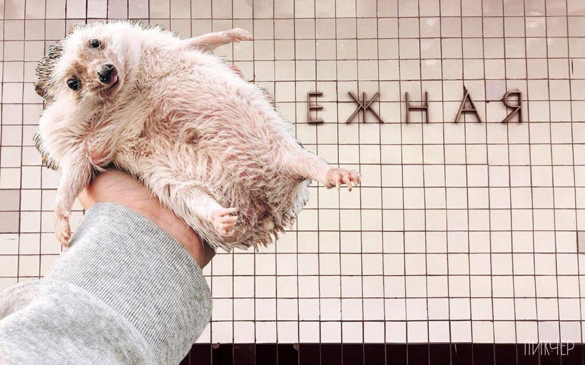 В Интернете пользователи «поиграли» с названиями станций метро (19 фото)