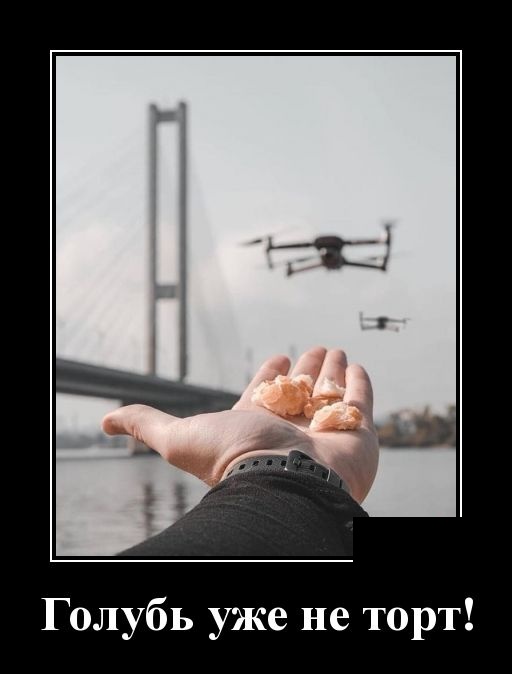 Новые демотиваторы про людей и животных