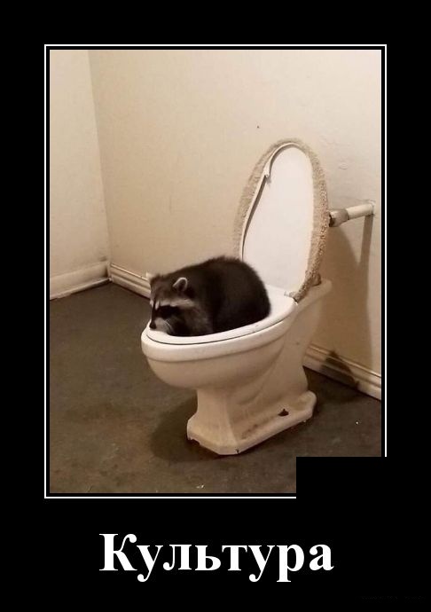 Смешные и свежие демотиваторы (30 демок)