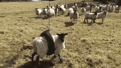 Прекрати снимать и лучше помоги мне! (17 гифок)