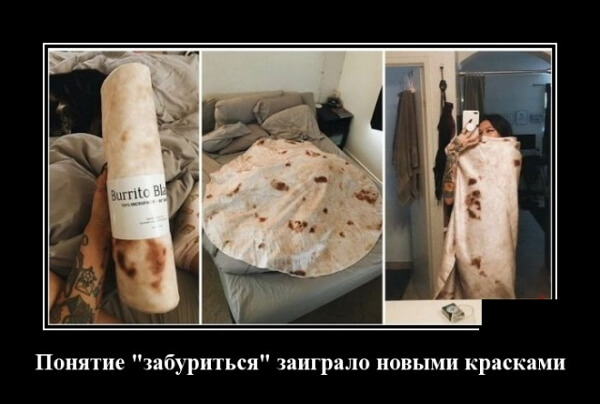 Свежие демотиваторы сентября 2019 года от PAGGY.RU