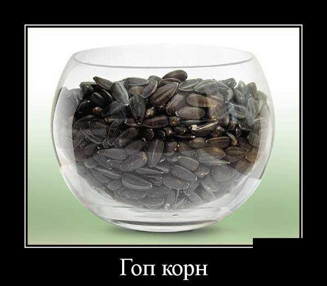 Прикольные демотиваторы сентября (30 демок)