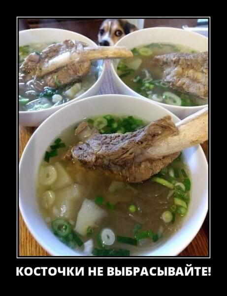 Свежие демотиваторы сентября 2019 года от PAGGY.RU