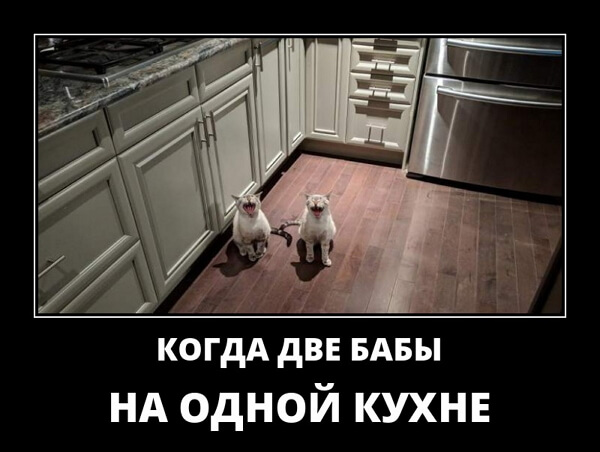 Демотиваторы 14.04.2019