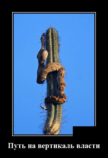 Новейшие демотиваторы сентября 2019 (30 демок)