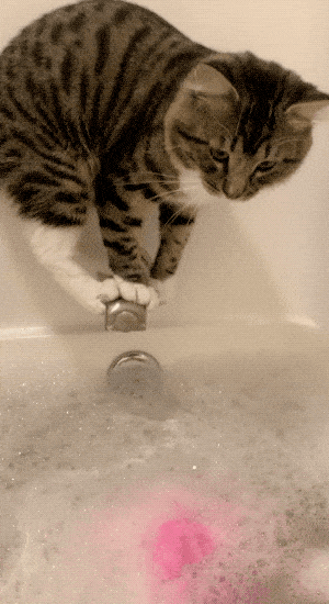 Прекрати снимать и лучше помоги мне! (17 гифок)