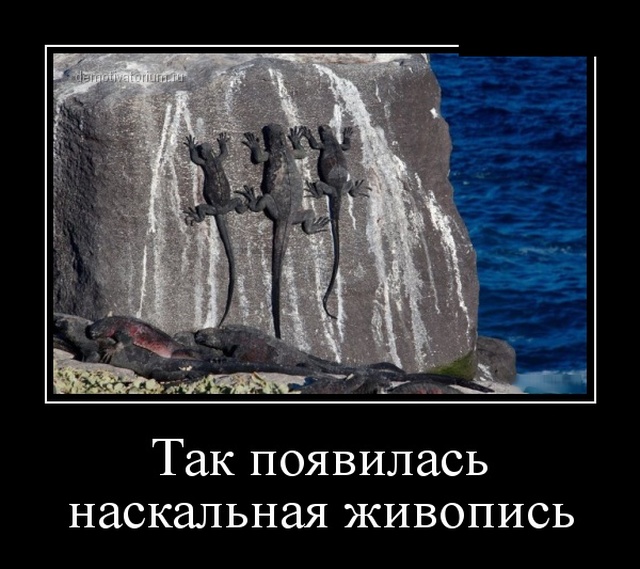 Смешные и свежие демотиваторы (30 демок)