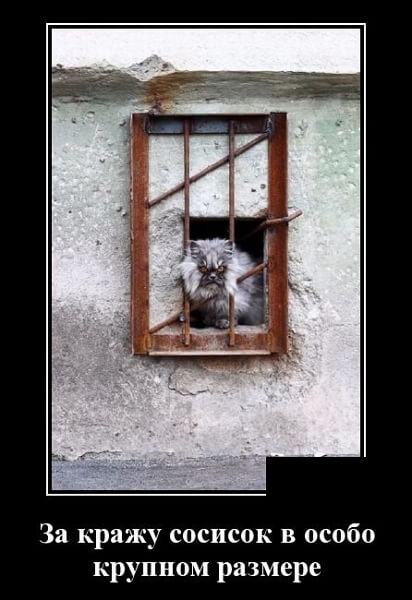 Новые демотиваторы сентября 2019