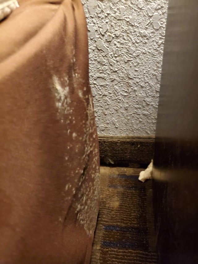 Неприятные сюрпризы в гостиницах (15 фото) Неприятные сюрпризы в гостиницах (15 фото)