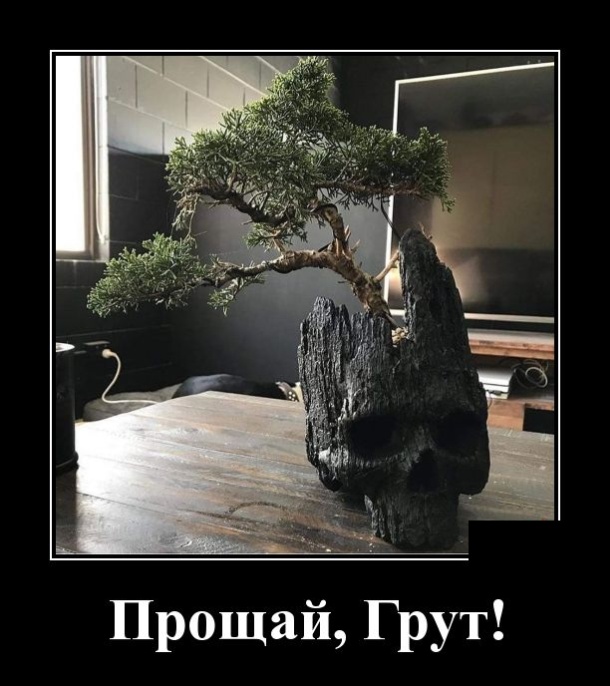 Новейшие демотиваторы сентября 2019 (30 демок)