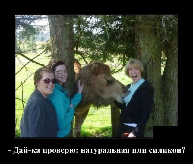 Новые демотиваторы про людей и животных