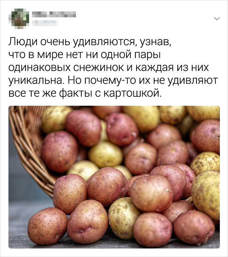 Свежая порция остроумных твитов (20 фото)