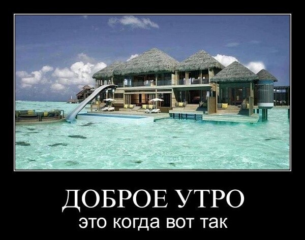 Демотиваторы доброе утро Демотиваторы доброе утро