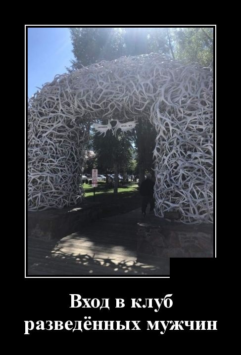 Смешные и очень свежие для 2019 года демотиваторы (30 демок)