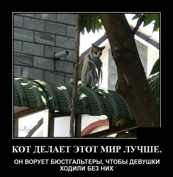 Свежие демотиваторы сентября 2019 года от PAGGY.RU