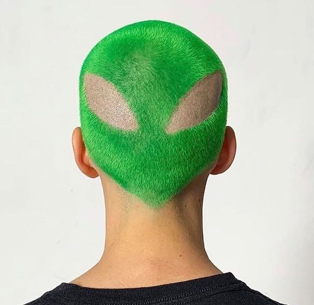 Безжалостный креатив и мастерство парикмахеров (10 фото)