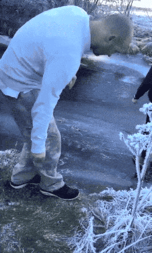 Прекрати снимать и лучше помоги мне! (17 гифок)