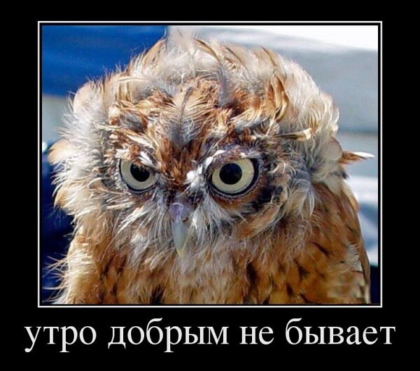 Демотиваторы доброе утро Демотиваторы доброе утро