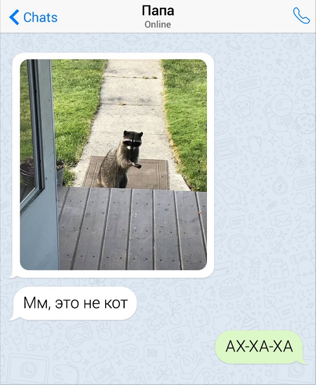 Забавные переписки с родителями (15 скриншотов) Забавные переписки с родителями (15 скриншотов)