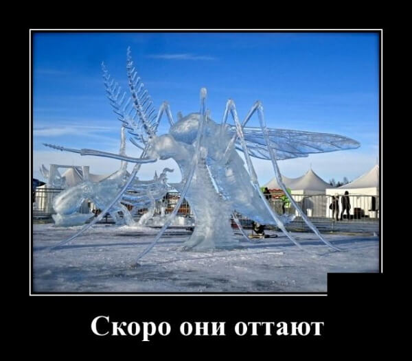 Новые демотиваторы сентября 2019