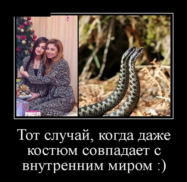 Демотиваторы 2019 года