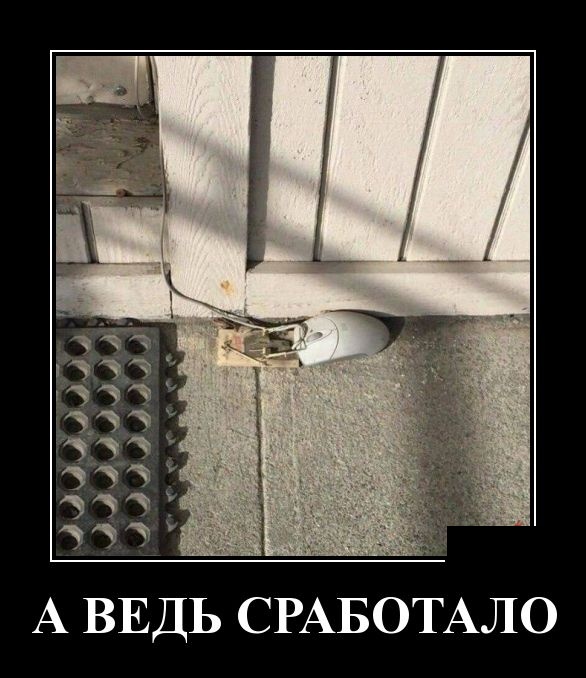 Свежие демотиваторы 19 сентября 2019 (30 картинок с надписями)