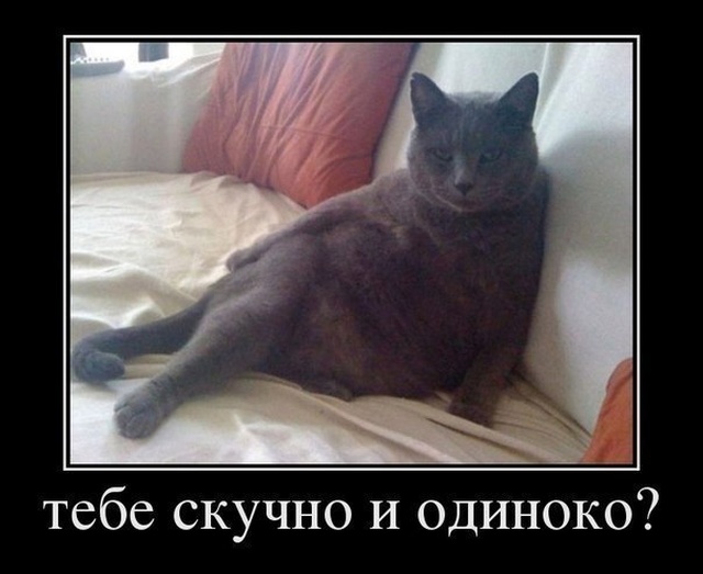 Новейшие демотиваторы сентября 2019 (30 демок)