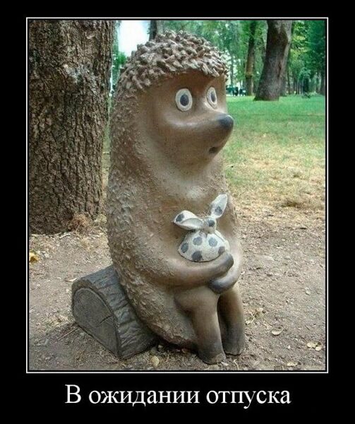 Новые демотиваторы сентября 2019