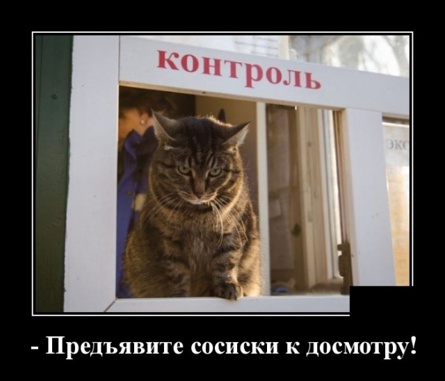 Смешные и очень свежие для 2019 года демотиваторы (30 демок)