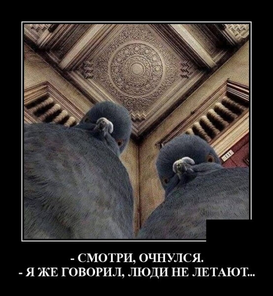 Демотиваторы 2019 года